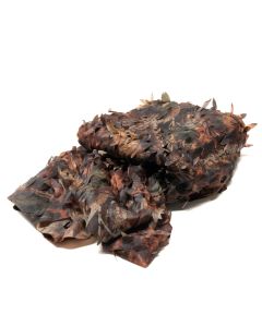 Buteo Photo Gear Tarnnetz 1 Farbiges Blatt 2,4x3 m